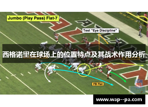 西格诺里在球场上的位置特点及其战术作用分析