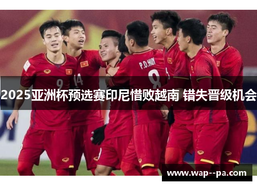 2025亚洲杯预选赛印尼惜败越南 错失晋级机会