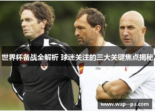 世界杯备战全解析 球迷关注的三大关键焦点揭秘
