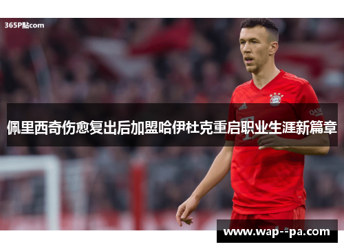 佩里西奇伤愈复出后加盟哈伊杜克重启职业生涯新篇章 佩里西奇伤愈复出后加盟哈伊杜克重启职业生涯新篇章