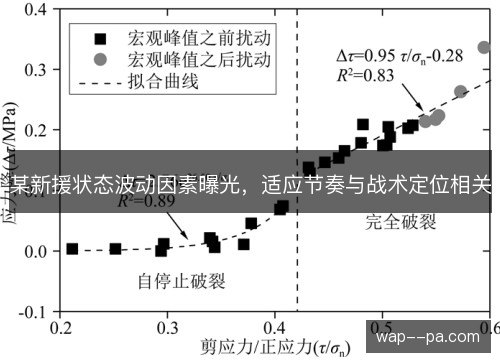 某新援状态波动因素曝光,适应节奏与战术定位相关 某新援状态波动因素曝光,适应节奏与战术定位相关